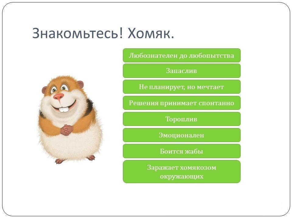 Хомяк 25 уровень. Творческий хомяк. Инвестор хомячок. Хомяк на фондовом рынке. Хомяк в инвестициях.