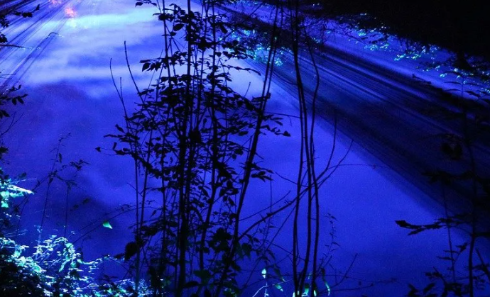 картинка взята из интернета в качестве иллюстрации.