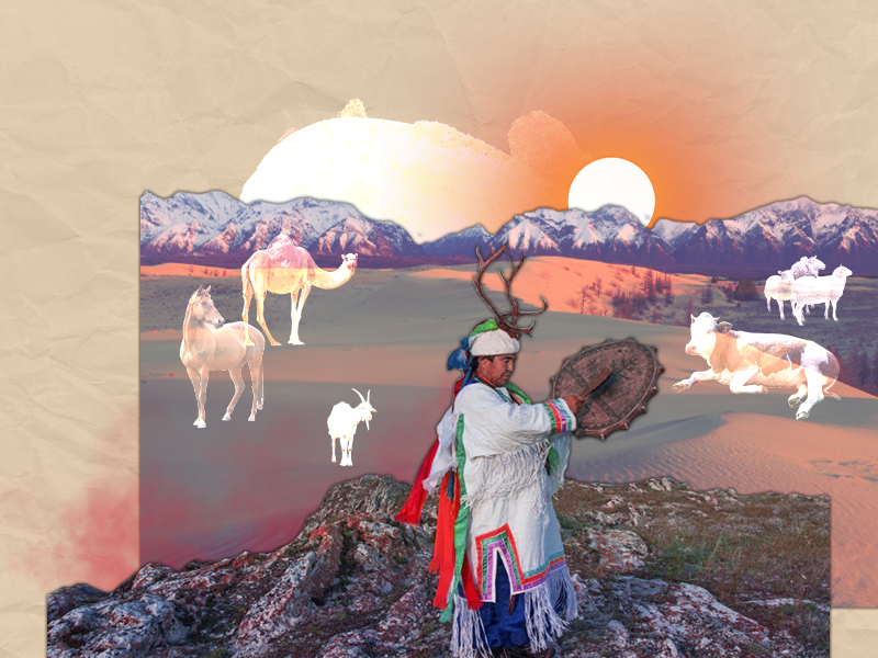 Иллюстрация: Первый Байкальский. Использованы фото из архива Виталия Балтаева