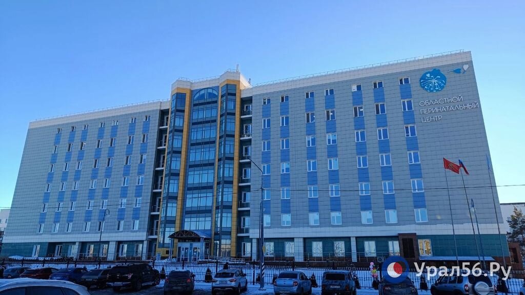    В 2022 году в перинатальном центре Оренбургской области родились 5 608 детей. Мальчиков больше, чем девочек