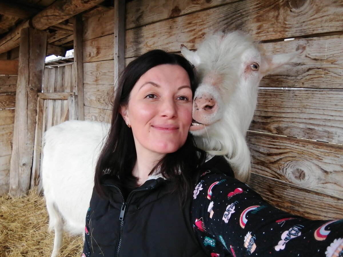 Он был когда-то с кудрявой, красивой челкой, но ее откусили соперники, в борьбе за внимание хозяйки)