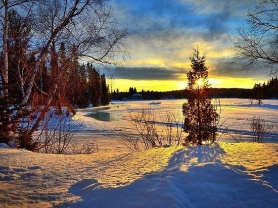     Фото: pxhere.ru