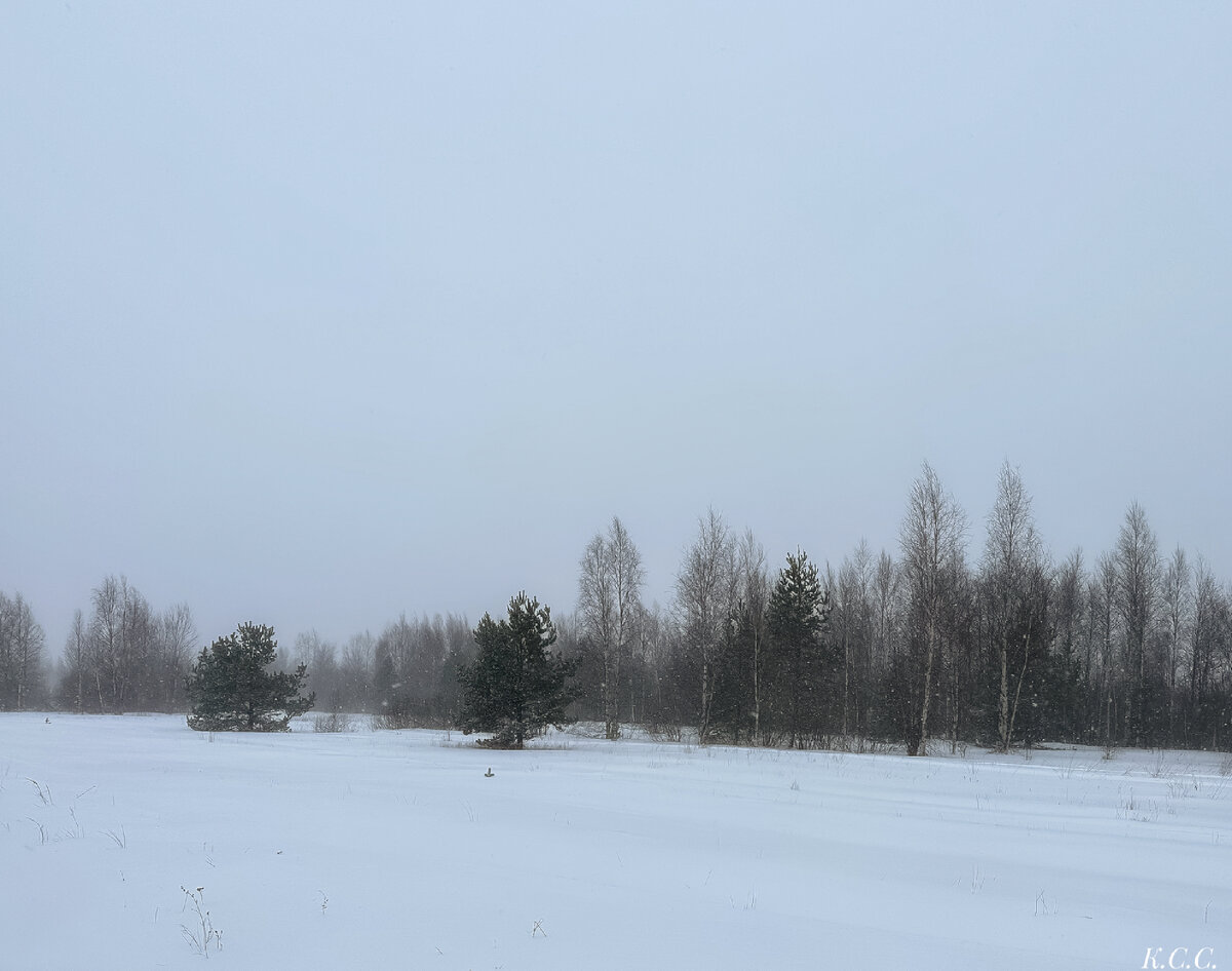 Фото так не передают непогоду.