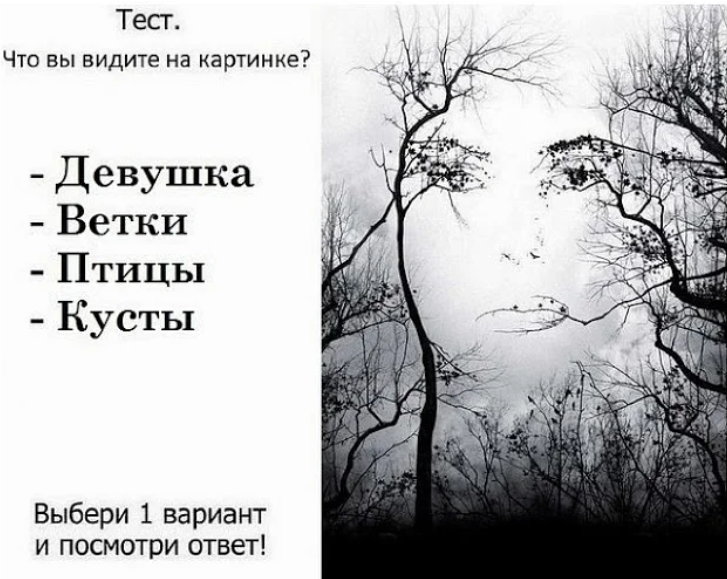 Психологический тест на рисунок