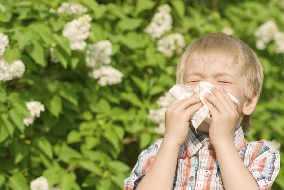 Аллергия насморк и чихание. Поллиноз Сенная лихорадка у детей. Аллергия на пыльцу.