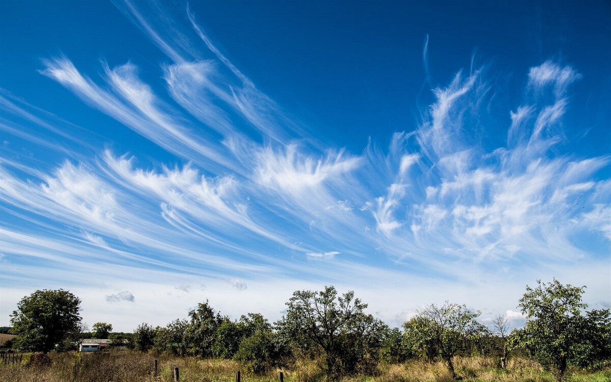 Перистые и перисто-кучевые облака образуются на высоте от 7 до 14 км и состоят из мельчайших кристалликов льда.
