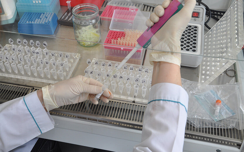  98 человек в 2022 году в Удмуртии после укуса клеща заболели боррелиозом – от него прививки нет