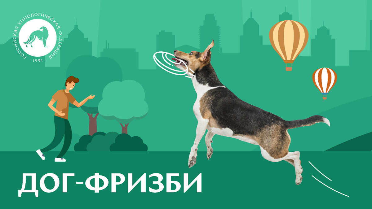 ВСЕ О ДОГ-ФРИЗБИ. Источник: Источник: РКФ – Российская кинологическая федерация
