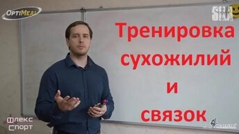 Тренировка сухожилий и связок