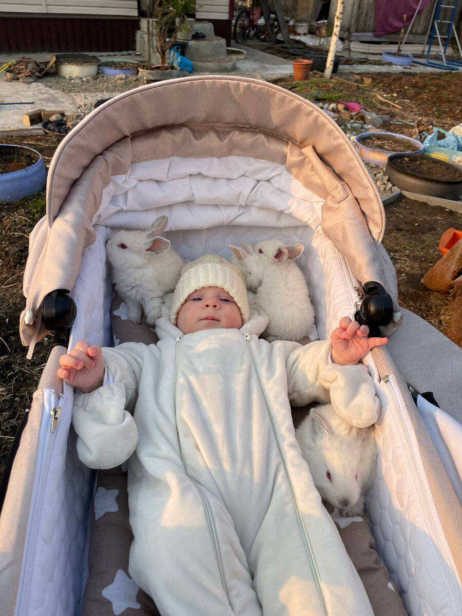 Хохлов Артём Евгеньевич 4 месяца