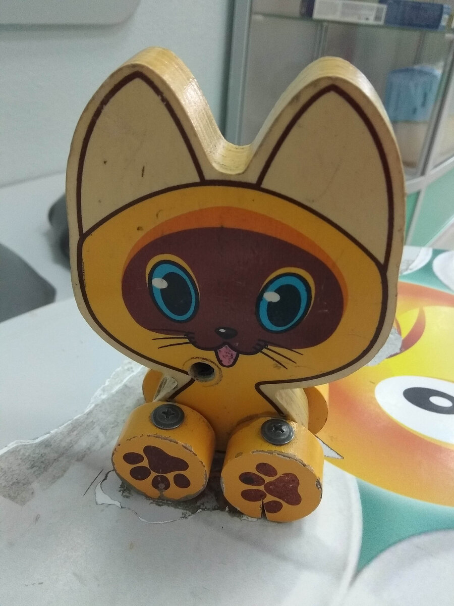 Вот такой котёнок Гав сидит на столике в поликлинике, где сдавали анализы с дочерью в этот раз. Очень милый. Но чтобы его "не увели" - он прикручен к столу ...шурупами🤦‍♀️