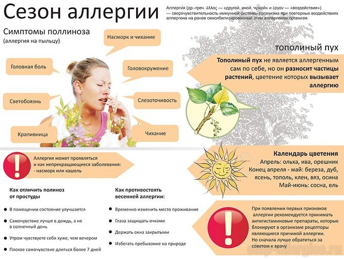 Причины аллергии картинки