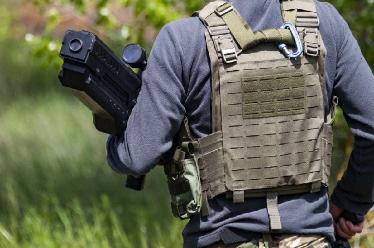    Рогов рассказал, какие дронобойки эффективны против беспилотников в городах