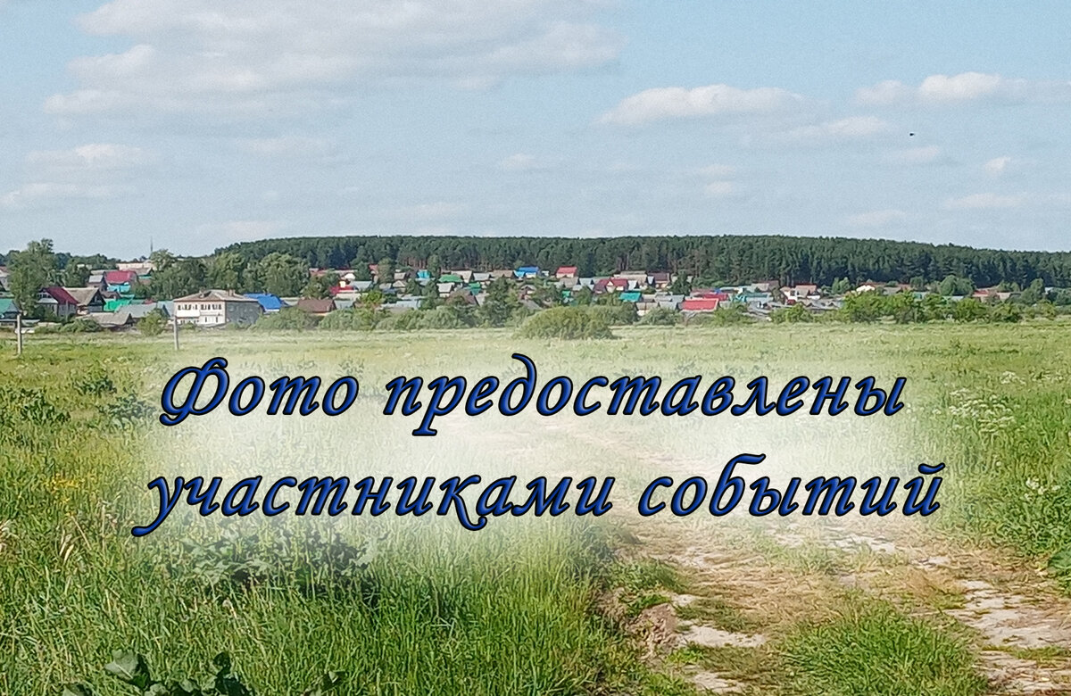 Вид на наш посёлок со стороны города. Крайние дома вплотную прилегают к лесу. Или лес к ним...