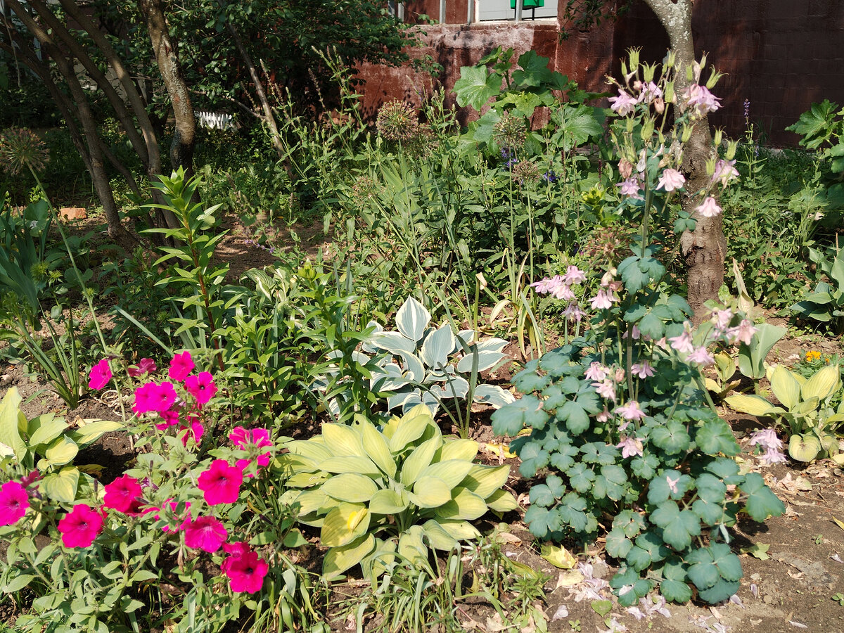 Цветники и маленький огород: в детский сад Мотовилихи завезли чернозём