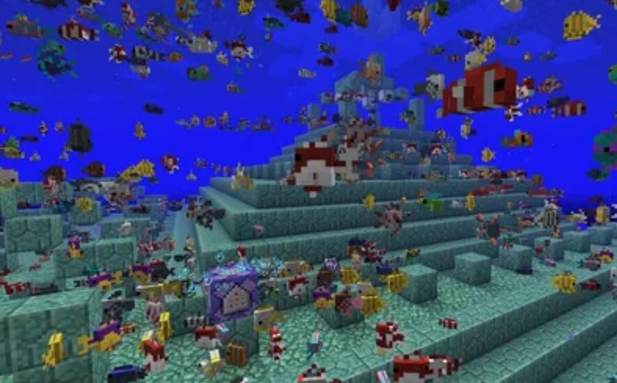 Фото из открытых источников