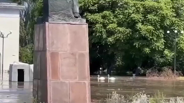 Ситуация в Новой Каховке, которая была частично затоплена в результате подрыва плотины Каховской ГЭС на Днепре. Уровень воды поднялся на десять метров. Видео © T.me / Пул 3