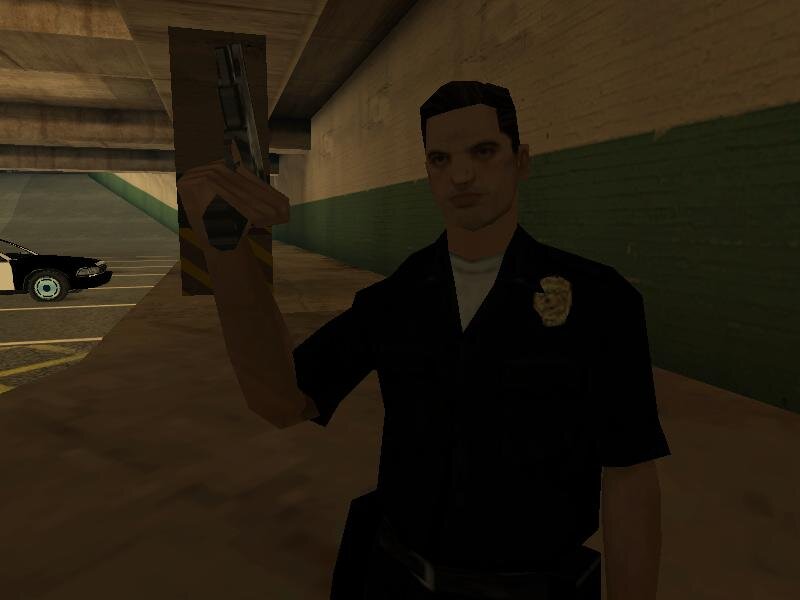 Полицейский "втирает мне какую-то дичь"...."