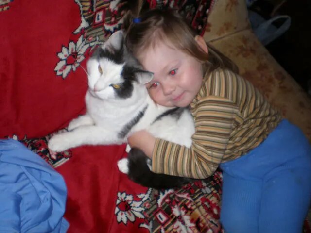 Алёна, наша дочь, обнимает моего первого кота. Кот терпел, не царапался. Хотя нежностей не любил совсем. Но маленьких детей вообще не обижал, только шипел, уж если совсем край. 