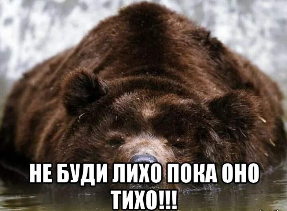 Сначала тихо потом громче. Не буди лихо пока оно тихо. Пословица не буди лихо пока. Разбудили медведя. Медведь проснулся.