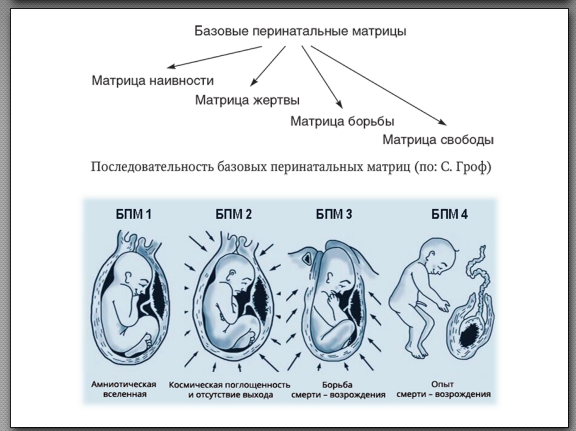 Матрица грофа психология. Матрица грофа психология