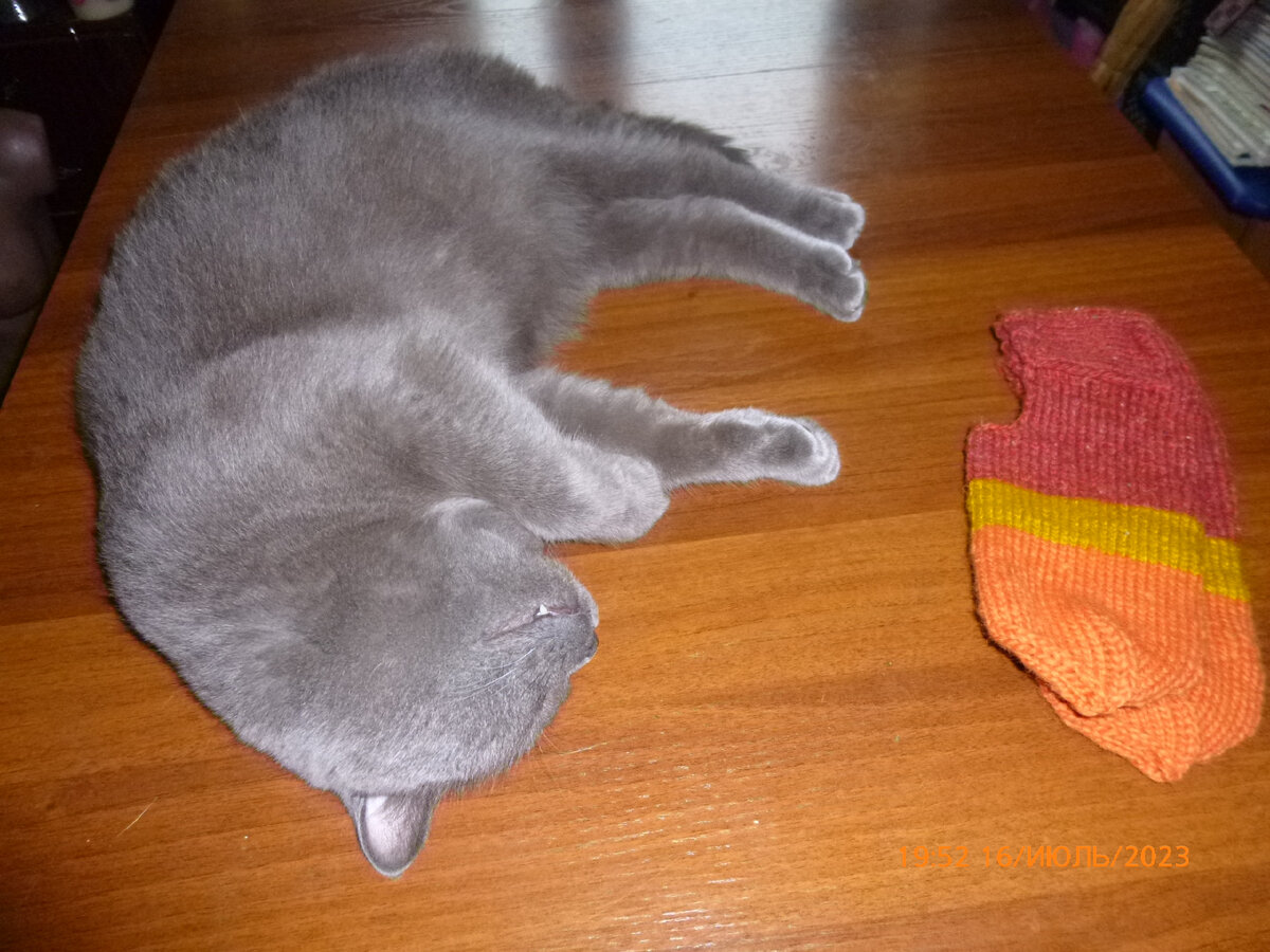 Кузьма Британыч - любит быть в курсе всех моих дел)))