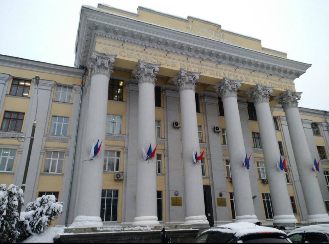 Московская государственная академия ветеринарной медицины и биотехнологии имени К.И. Скрябина. Фото из яндекс-карт. Это здание не видно с улицы. 