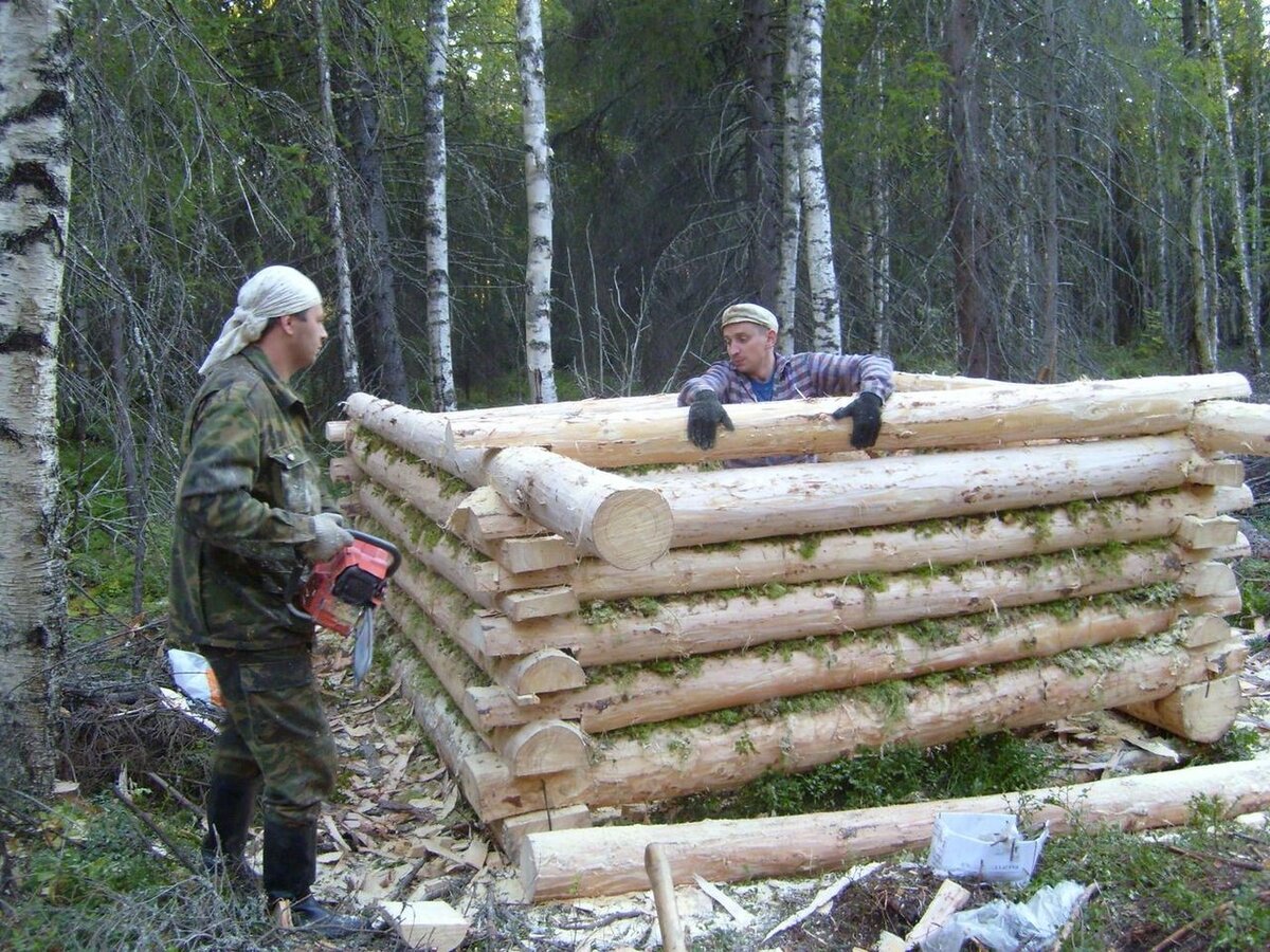 Строительство охотничьего зимовья в лесу