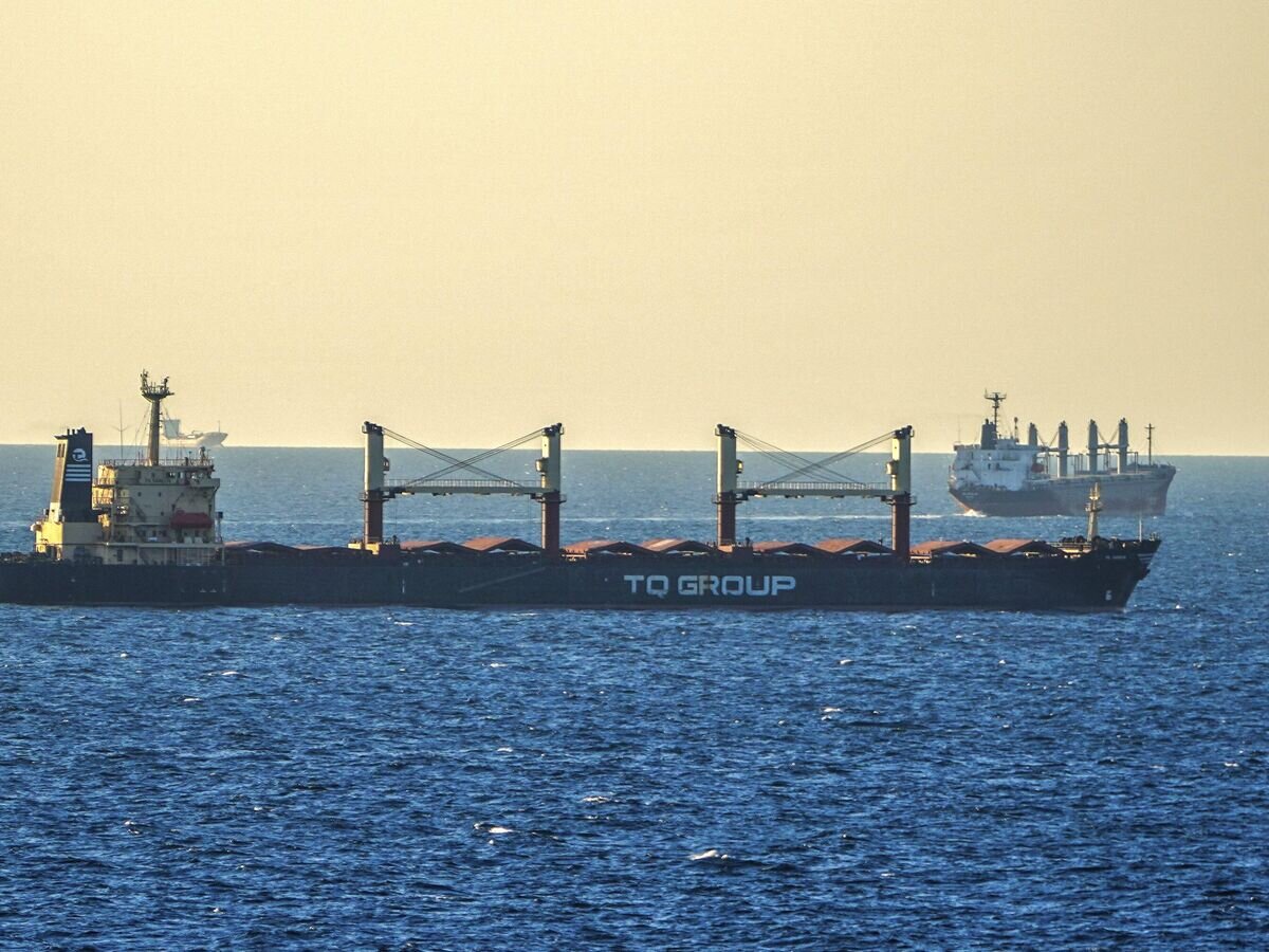    Грузовые суда в Черном море у входа в пролив Босфор в Стамбуле© AP Photo / Sercan Ozkurnazli