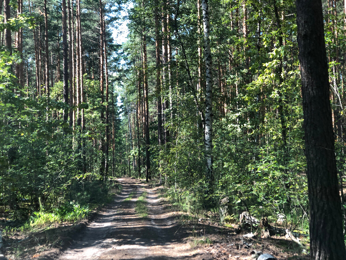 Все фото автора 