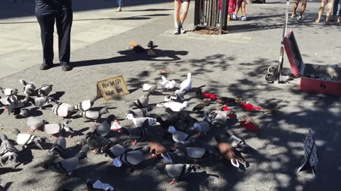 Когда тебе разрешили заглянуть в будущее, а друзья ждут, пока ты насмотришься