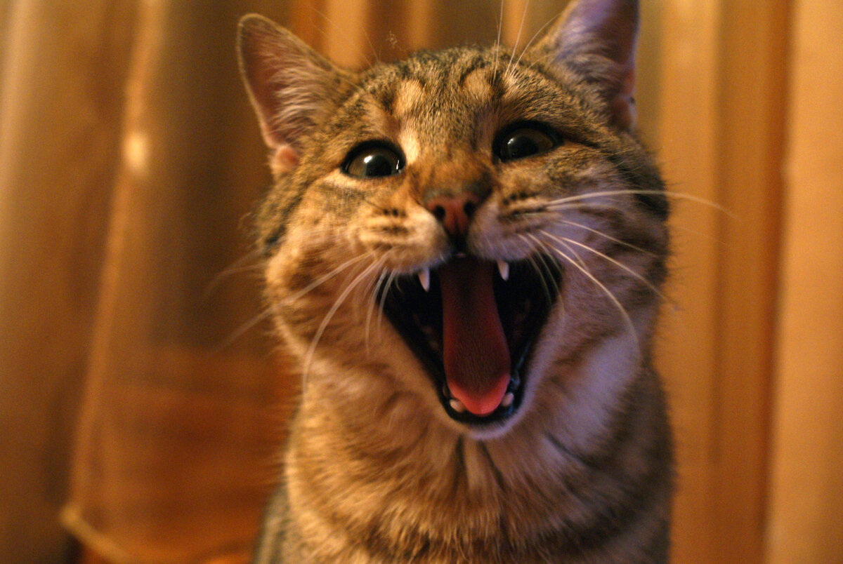 Источник: мои фото