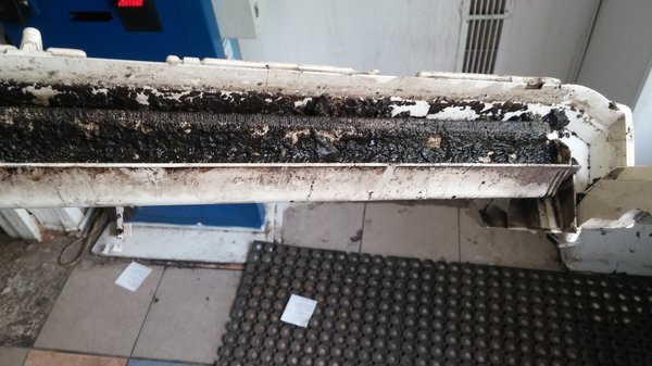 Приемный лоток внутреннего блока, а в нем - те самые грибки и плесень. В таком состоянии бессильна даже профессиональная химия, выход один - снимать лоток и отмывать его мойкой высокого давления, с последующей дезинфекцией.