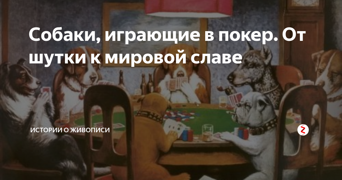 как котики играют в покер