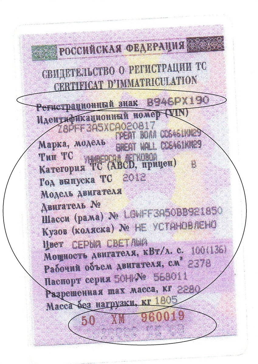 Оформление договора купли-продажи транспортного средства между физическими  лицами. | Что делать | Дзен