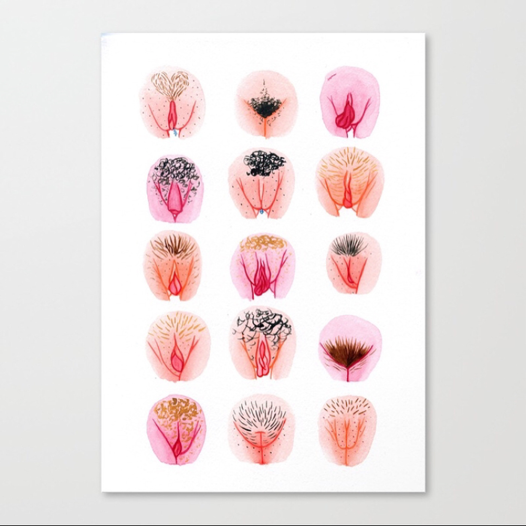  Вульва - это видимая часть женских половых органов.