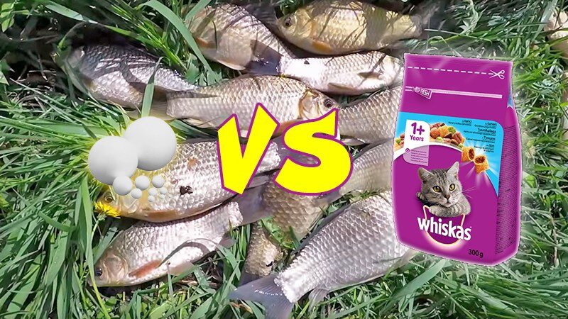 Пенопласт против Вискаса