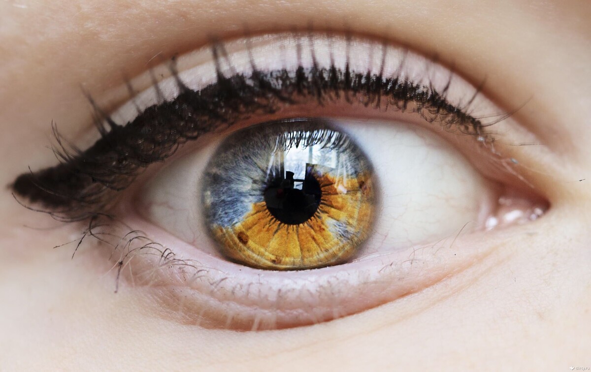  Глаза —  это орган человека, обладающий способностью зрительно воспринимать  наш мир, накапливать информацию, осмыслять и осознавать окружающую обстановку.