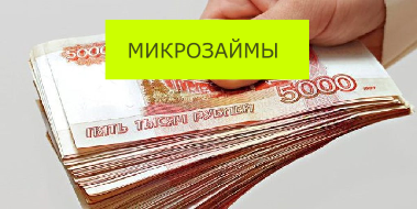 Птичка наличка микрозайм. Государственные микрозаймы. Готовый сайт микрозаймы. Микрозаймы Обществознание. Микрокредит анимация.