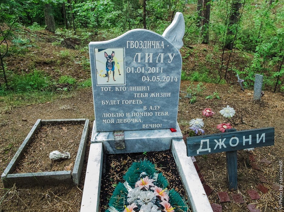 городское кладбище животных. санкт петербург ул электропультовцев 9 кладбище животных. городское кладбище животных в спб. электро пультевцев кладбище домашних животных спб. городское кладбище животных отзывы.