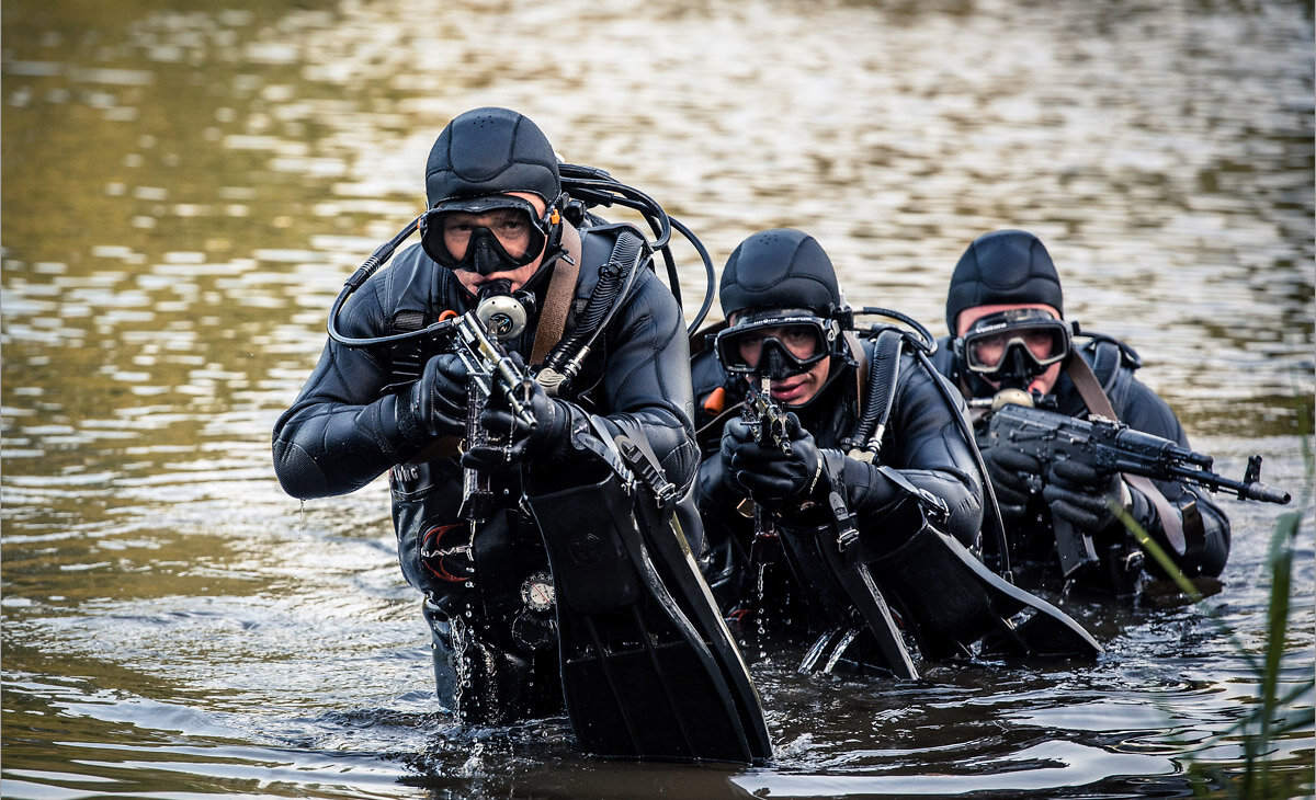 Морские котики спецназ. Морские котики спецподразделение сша. Подразделение морской. Рода военно-морского флота вооруженных сил рф. Подразделение морской.