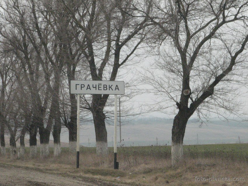 Грачевка ставропольский край фото