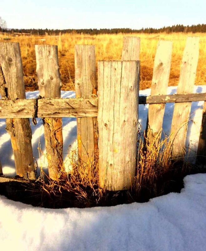 Дешевые варианты сделать столб для забора вечным