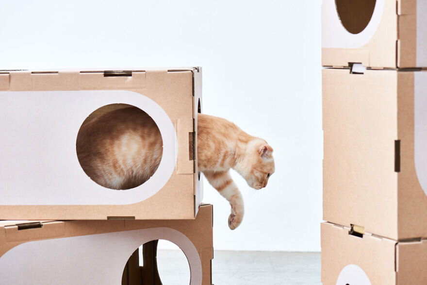 Домик для кота из коробок (82 фото) » НА ДАЧЕ ФОТО