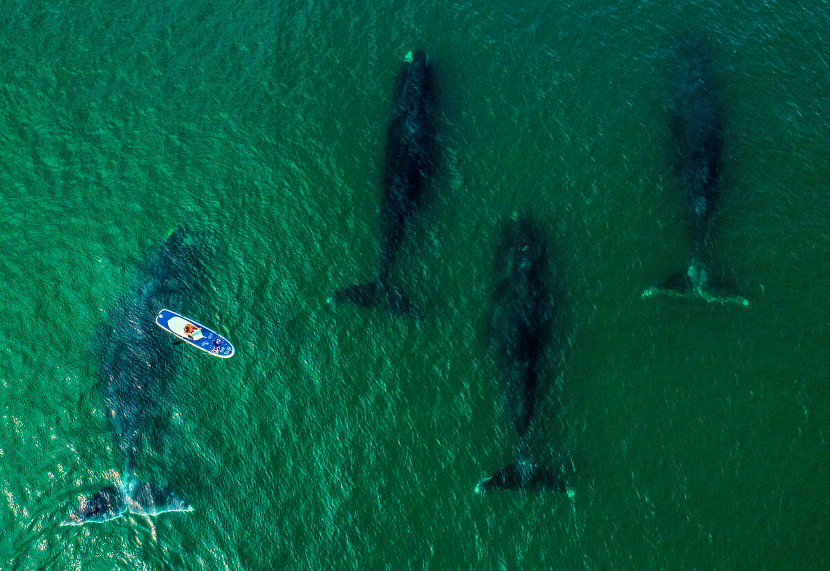 Фото: ТАСС/Юрий Смитюк 
