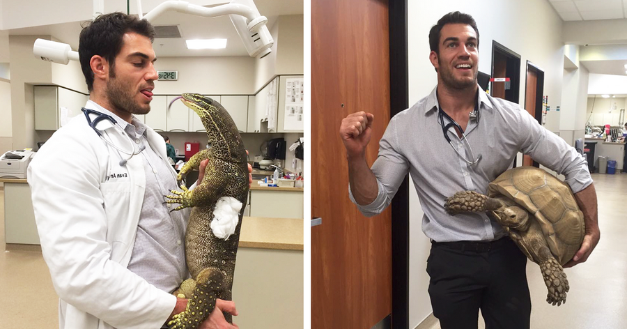 Эван Энтин | Evan Antin