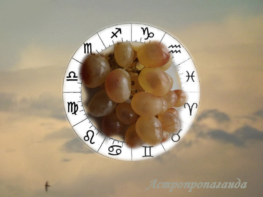 Коллаж Нины Стрелковой для канала «Астропропаганда». 