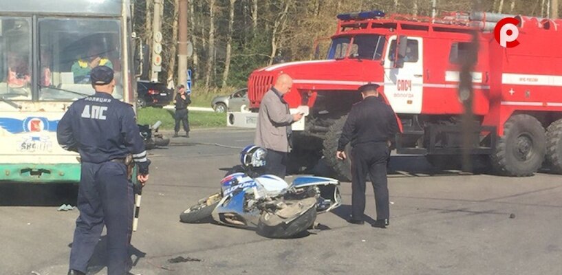  Фото: ТК "Русский Север"