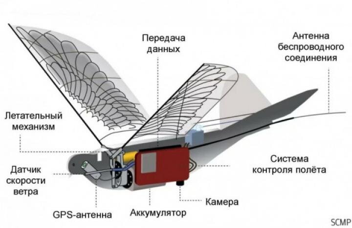  Ученые университета Сианя начали разработку программы «Голубка»,  в рамках которой были созданы дроны, замаскированные под голубей.-2