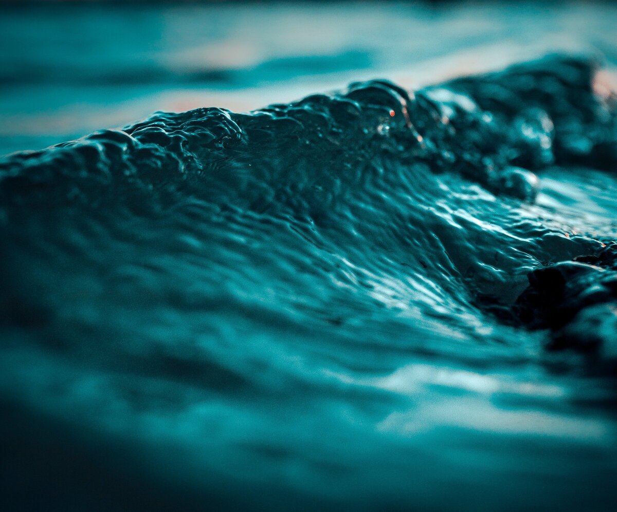 I i follow deep sea. The deep sea. above oceanic sean. клеар песня. the sea is deep.